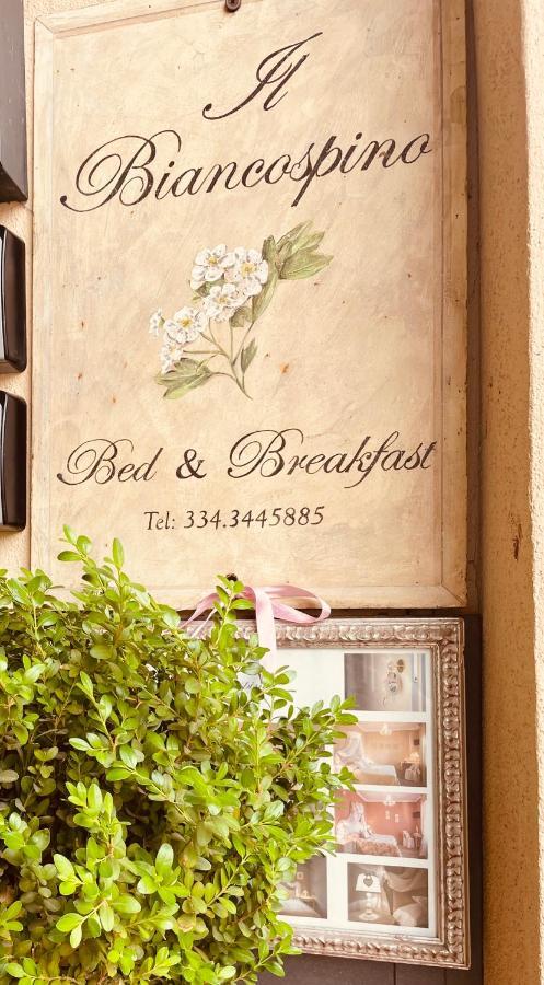 B&B Il Biancospino Abbadia San Salvator Ngoại thất bức ảnh