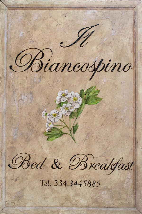 B&B Il Biancospino Abbadia San Salvator Ngoại thất bức ảnh